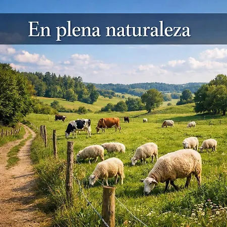 Isa 3* Sarria
