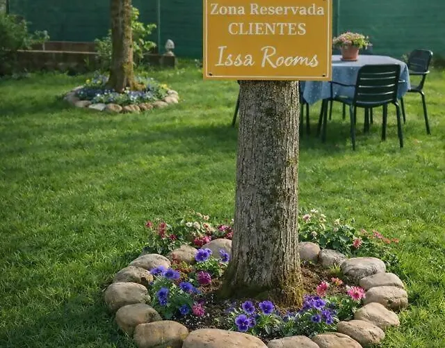 Isa